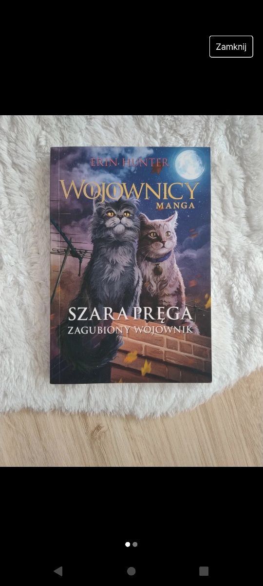 Manga wojownicy Szara pręga zagubiony wojownik