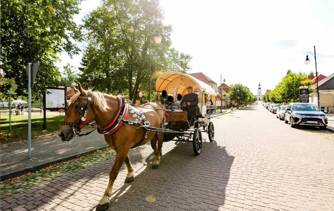 Bryczka przejażdżka kareta na wesela urodziny wycieczki wycieczka