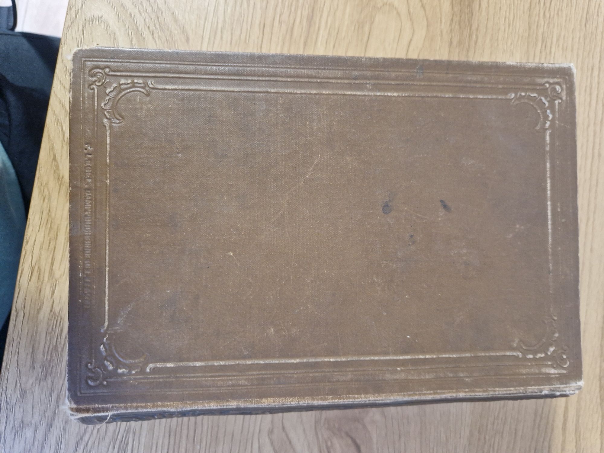 Książka Bilz - Das neue Naturheilverfahren 1894