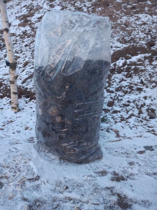 Przerobiony, sezonowany obornik koński ekologiczny