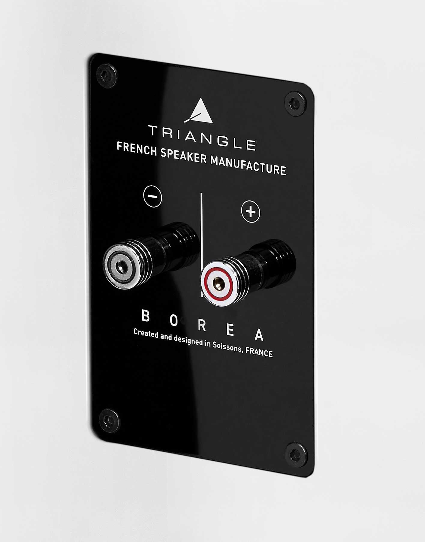 Zestaw stereo Onkyo TX-8470 + Triangle Borea BR08 - WROCŁAW