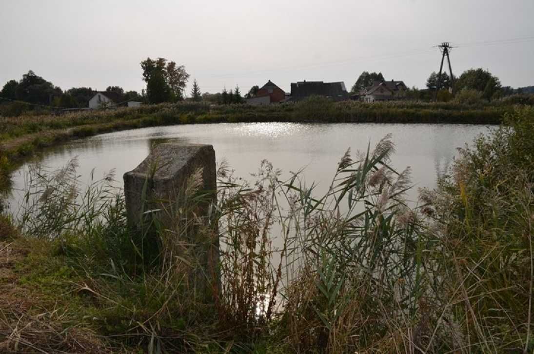 Stawy Hodowlane Gospodarstwo Rybackie Karpiowo Pstrągowe