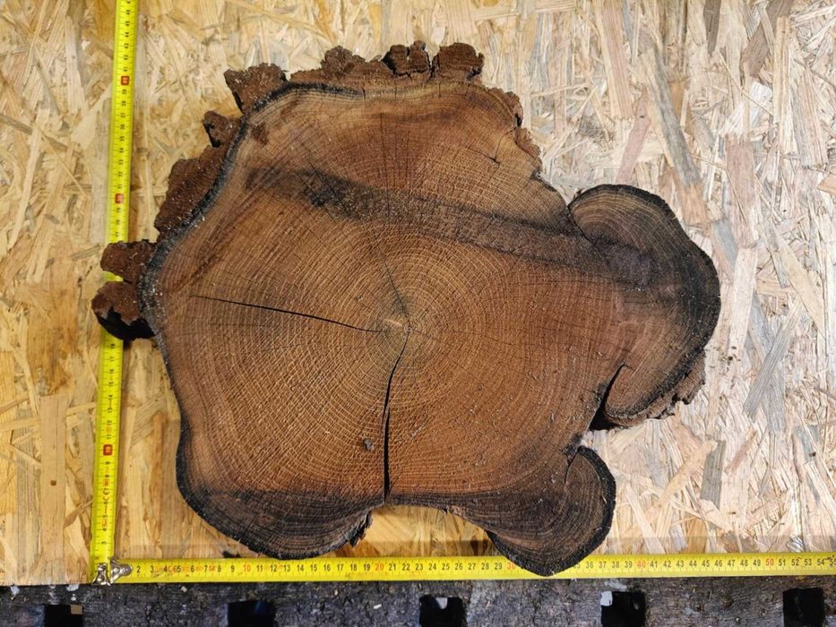 plastry plaster drewna akacja