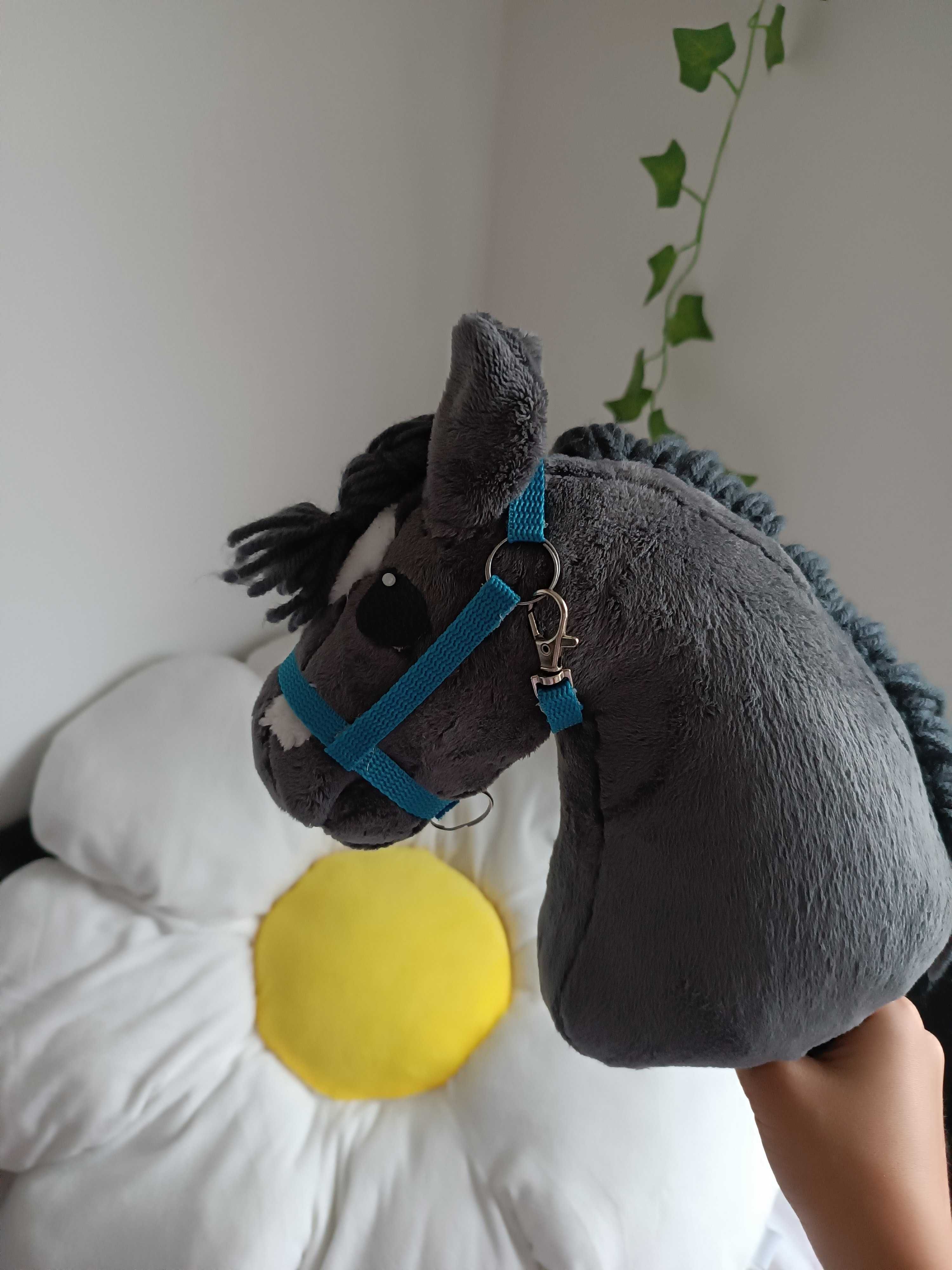 kantary hobby horse