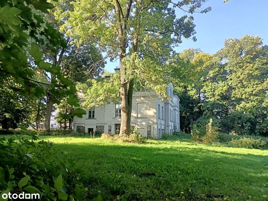 Dwór na wsi-Leszno 13 KM -OKAZYJNA CENA-INWESTYCJA-park +działka rolna