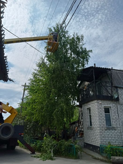 Спил дерева обрезка демонтаж уборка