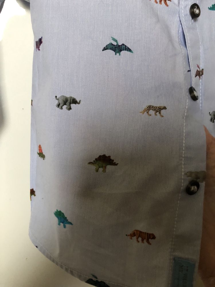 Koszula chłopięca w dinozaury 12-18 mcy