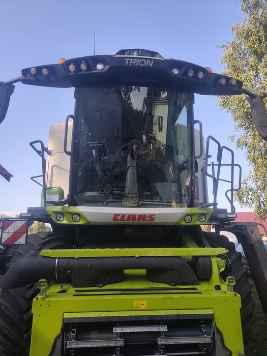 Koszenie kukurydzy na ziarno