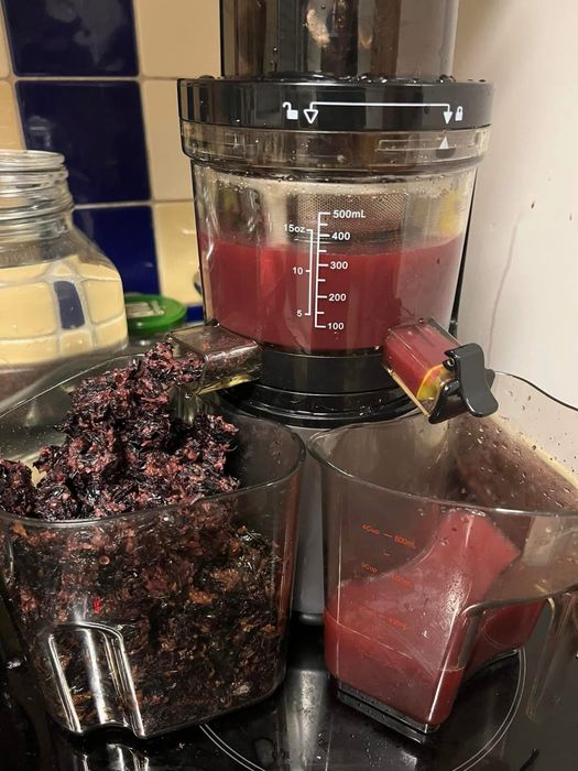 Bio Chef Atlas Whole Slow Juicer Pro - Juice Extractor
