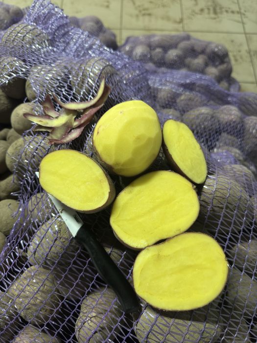 продам Картоплю від фермера