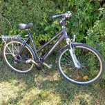 Rower trekingowy Cheker PiG