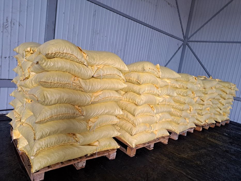 Ekogroszek workowany POLSKI PREMIUM dostawa GRATIS groszek PROMOCJA