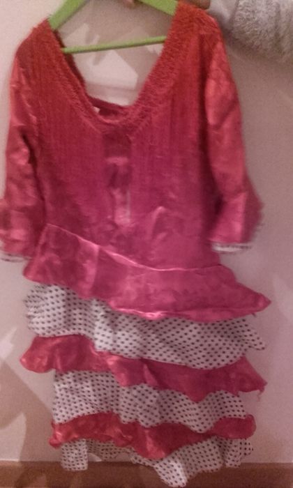 Disfarces carnaval Sevilhana, Noddy, Leão, Espantalho