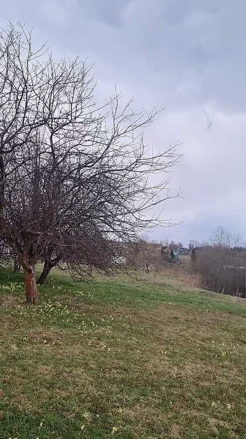 Земельна ділянка з будинком