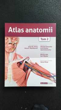 Atlas anatomii A. M. Gilroy, tom 2