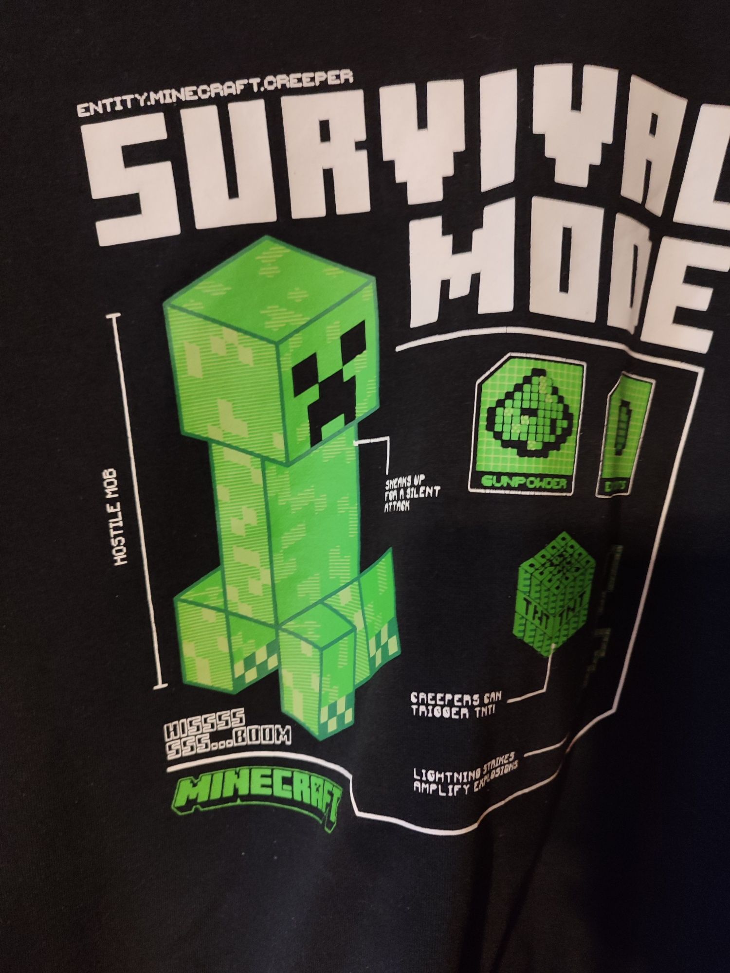 Bluza chłopięca Reserved Minecraft