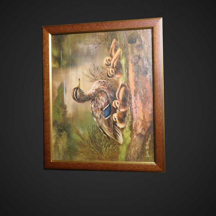 Reprodukcja Kaczki w drewnianej ramie B5/031554