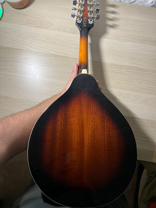 Mandolin/bandolim Ibanez M510E eletro acústico
