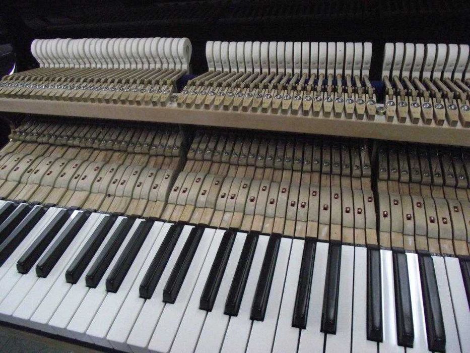 Fortepian firmy BLUTHNER piękna Wersja Jubileuszowa z 1900r Nr 54787