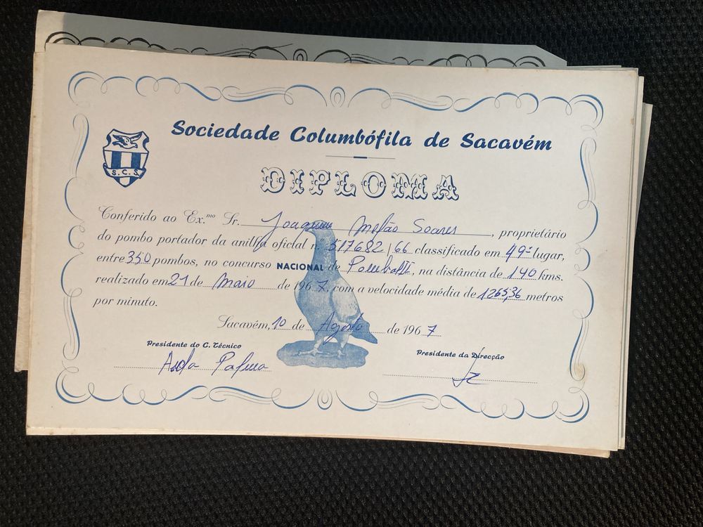 60 Diplomas Sociedade Columbófila Sacavém