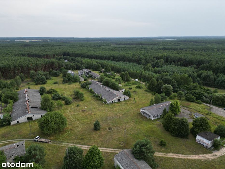 Zabudowane działki z własną stacją TRAFO - 24,46ha