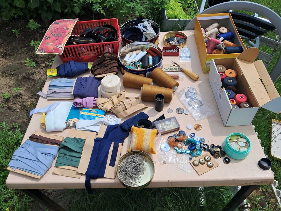 Nici w różnych kolorach