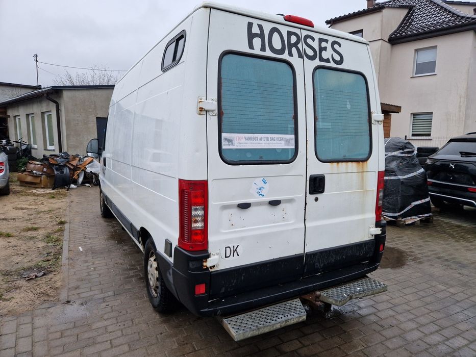 Koniowóz peugeot boxer