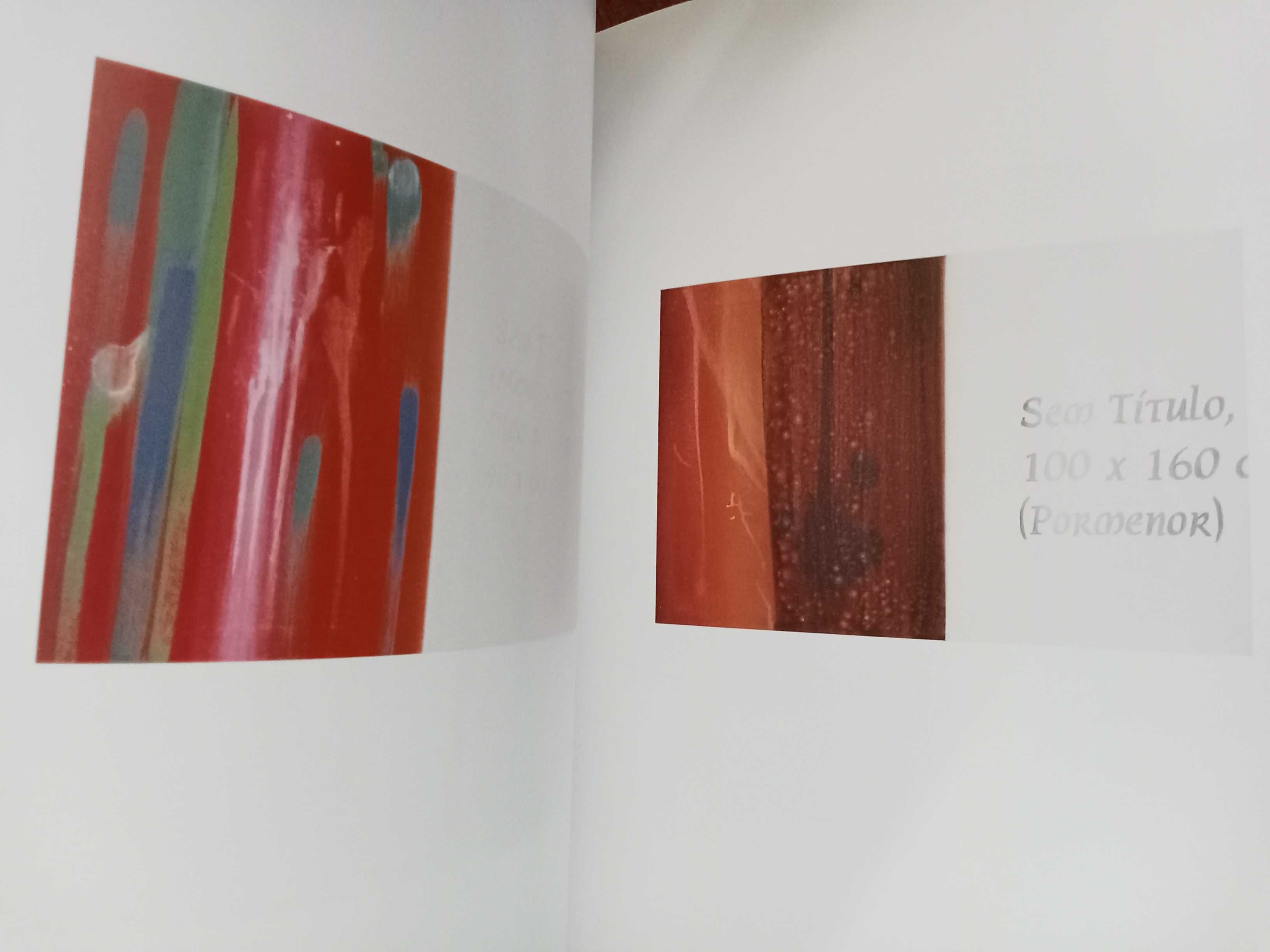 Ana Luísa Ribeiro - Quedas, mergulhos e Pinturas abstractas