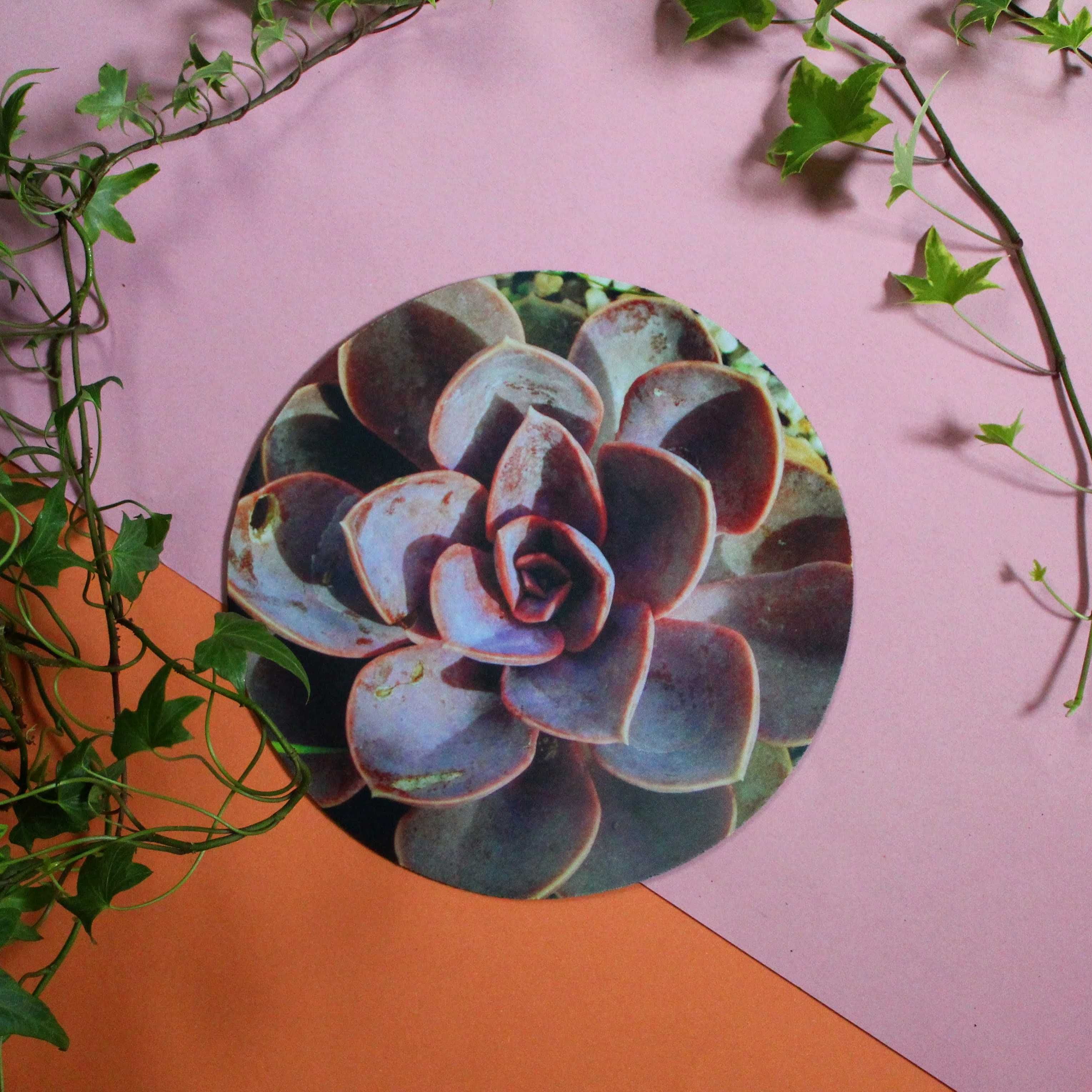 Podkładka pod mysz echeveria, podkładka pod myszkę z kwiatem, prezent