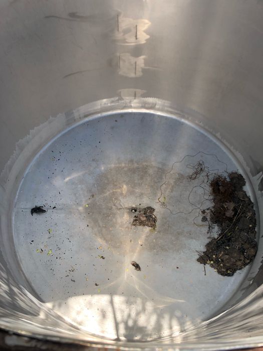 Бочка з нержавійки для поливу