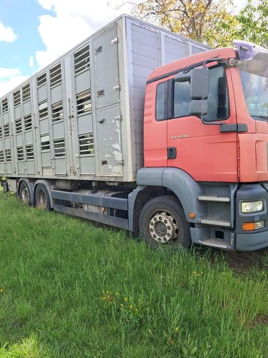 MAN TGA 26.360 6x2-2bl  MAN TGA 26.360 6x2-2bl przystosowany do przewozu zwierząt