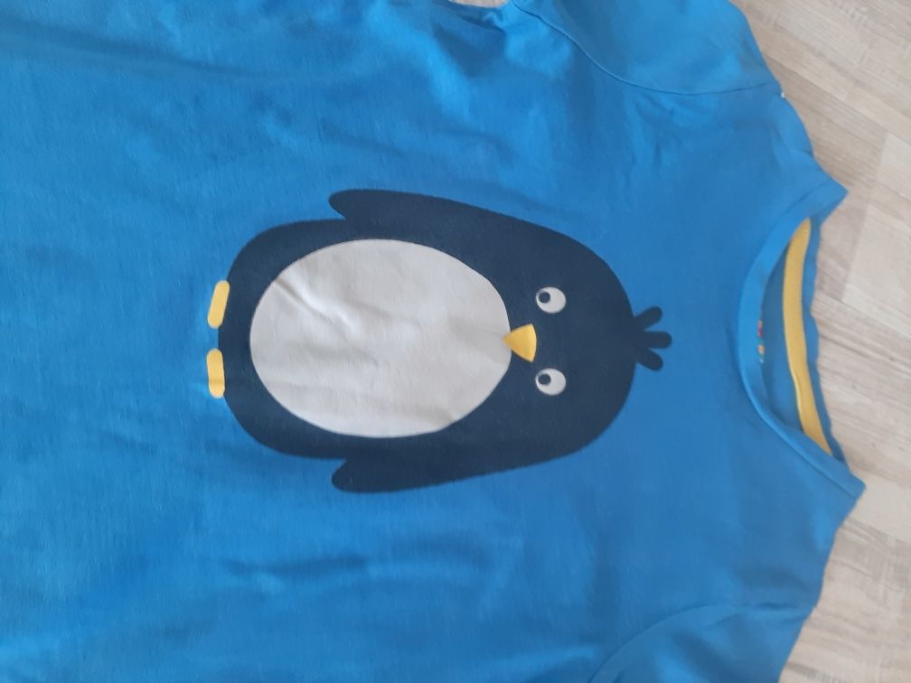Bluzka t-shirt koszulka z pingwinem 98/104