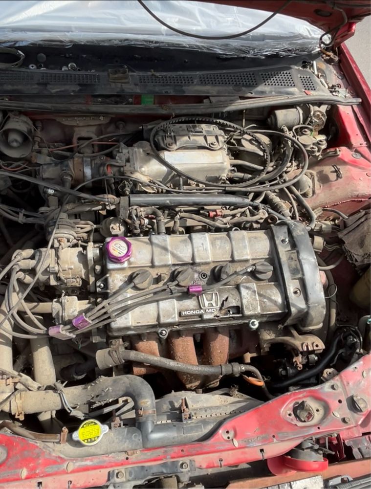 Мотор B20A Honda accord civic prelude двигун