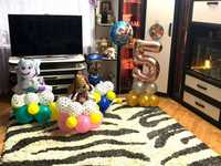 Фольгированные шары,фольговані кульки, воздушные шары, щенячий патруль