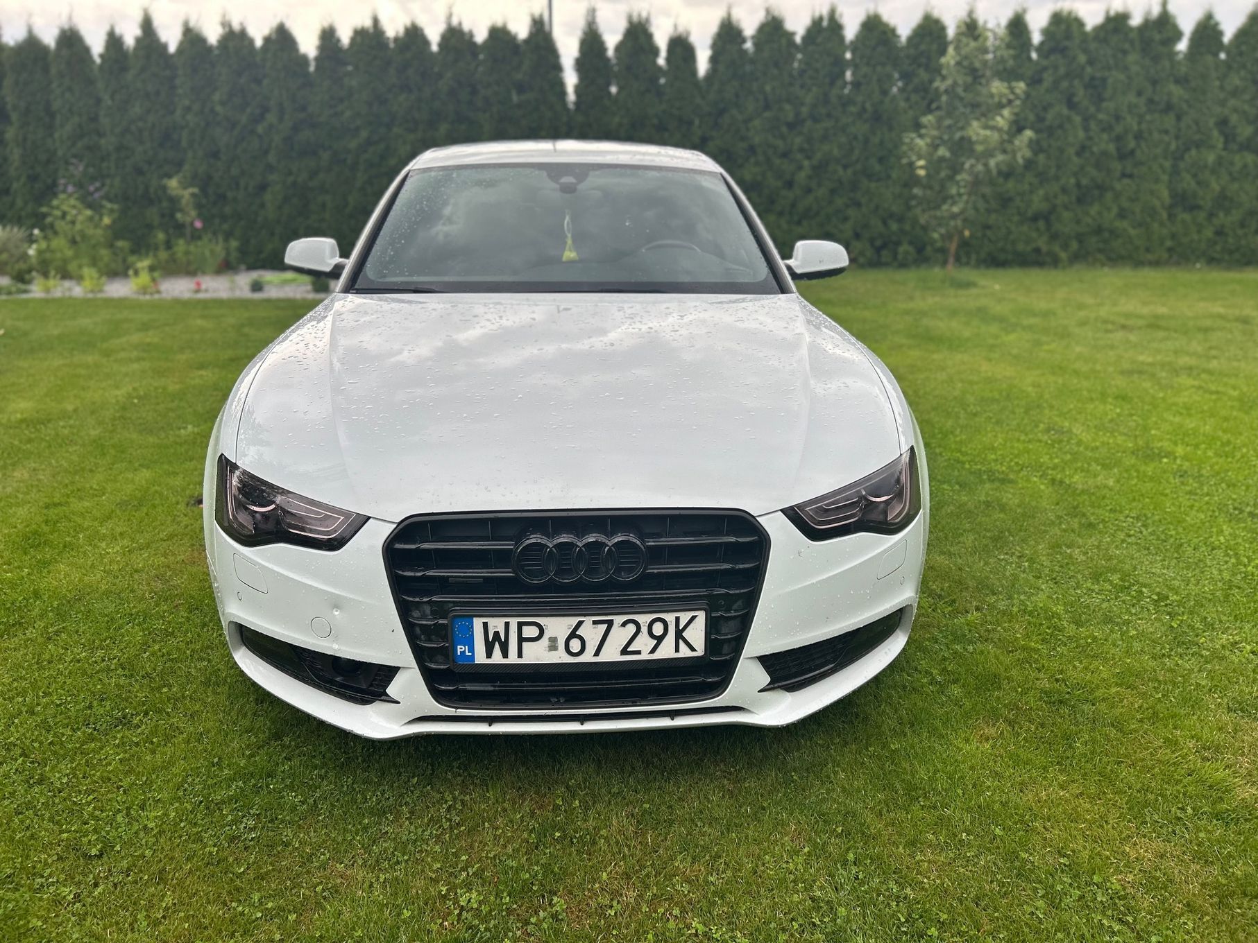 Audi A5 Audi A5 2.0 TDI QUATTRO Lift