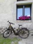 Rower elektryczny marki Velodeville, silnik Bosh