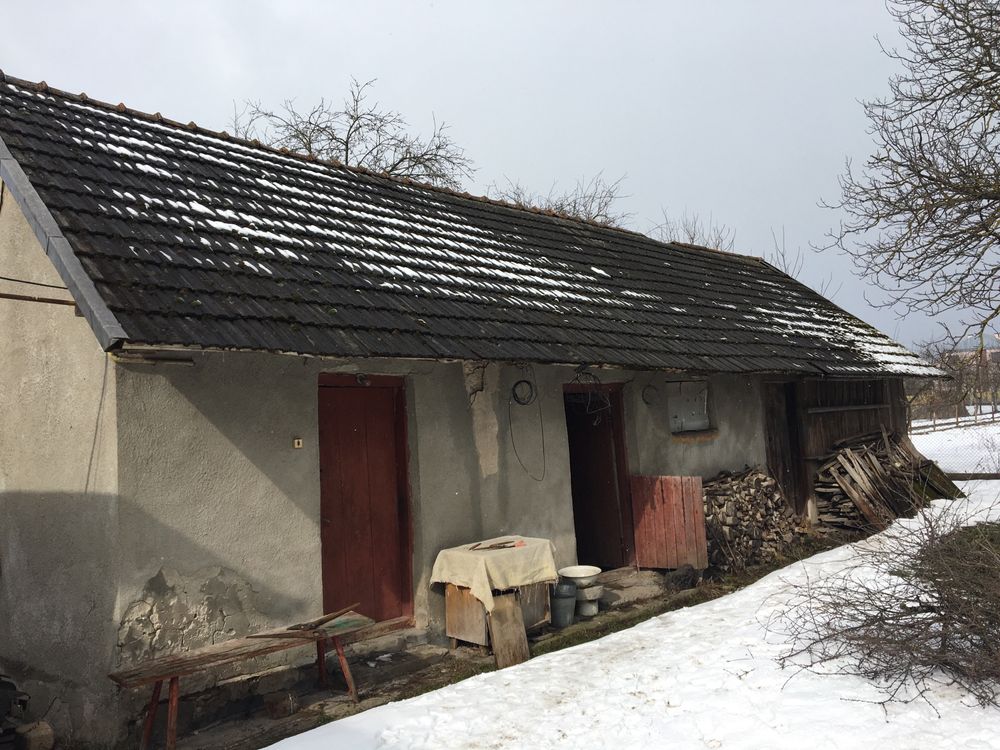 Будинок із землею