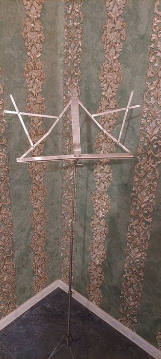 Штатів профісіональний