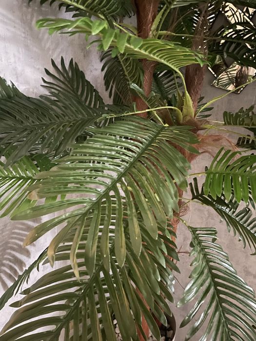 Palmeiras artificiais lindissimas para decoracoes