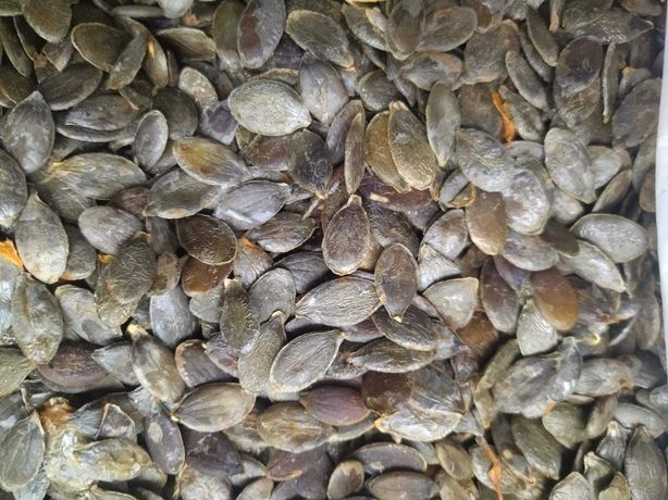 Продам гарбузове насіння (штирійського гарбуза)