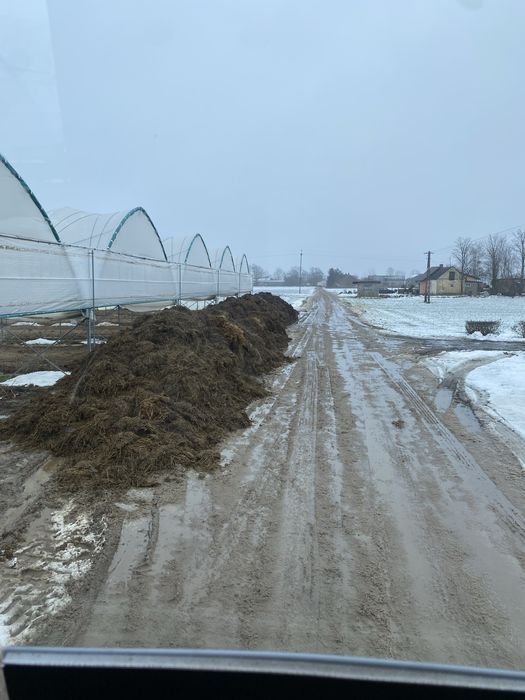 Obornik bydlecy / kurzak transport oraz rozrzucanie