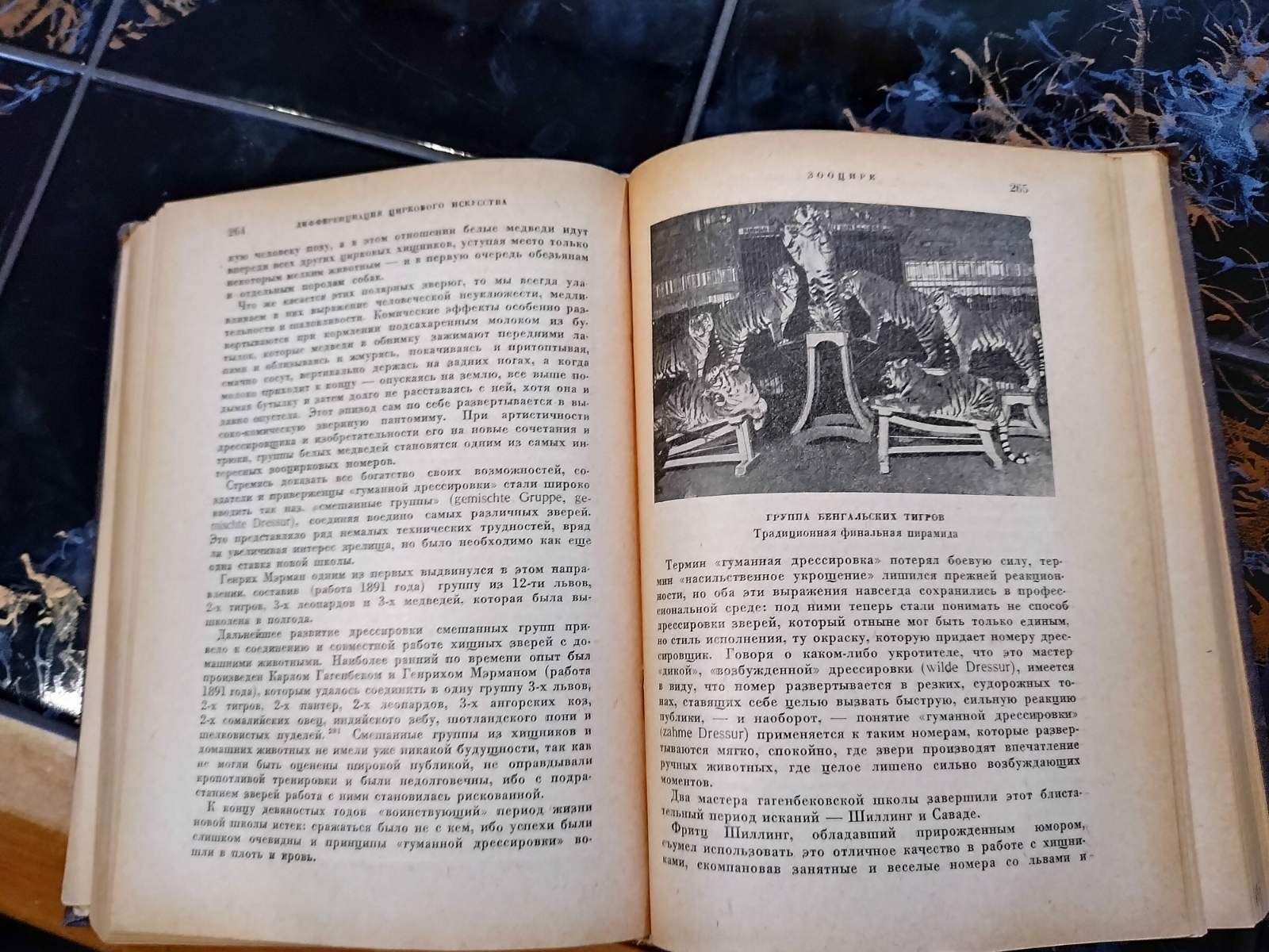 Продам книгу Евгений Кузнецов Цирк 1931 года.