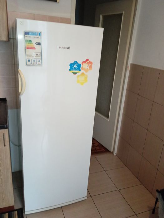 Морозильна камера Snaige F 27SM-T10001 (морозилка)