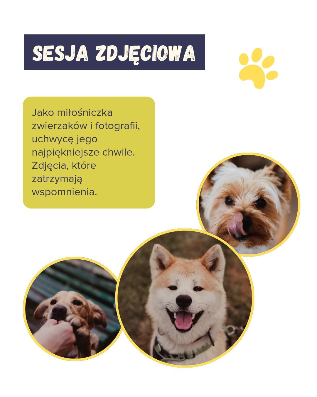 Opieka nad zwierzętami
