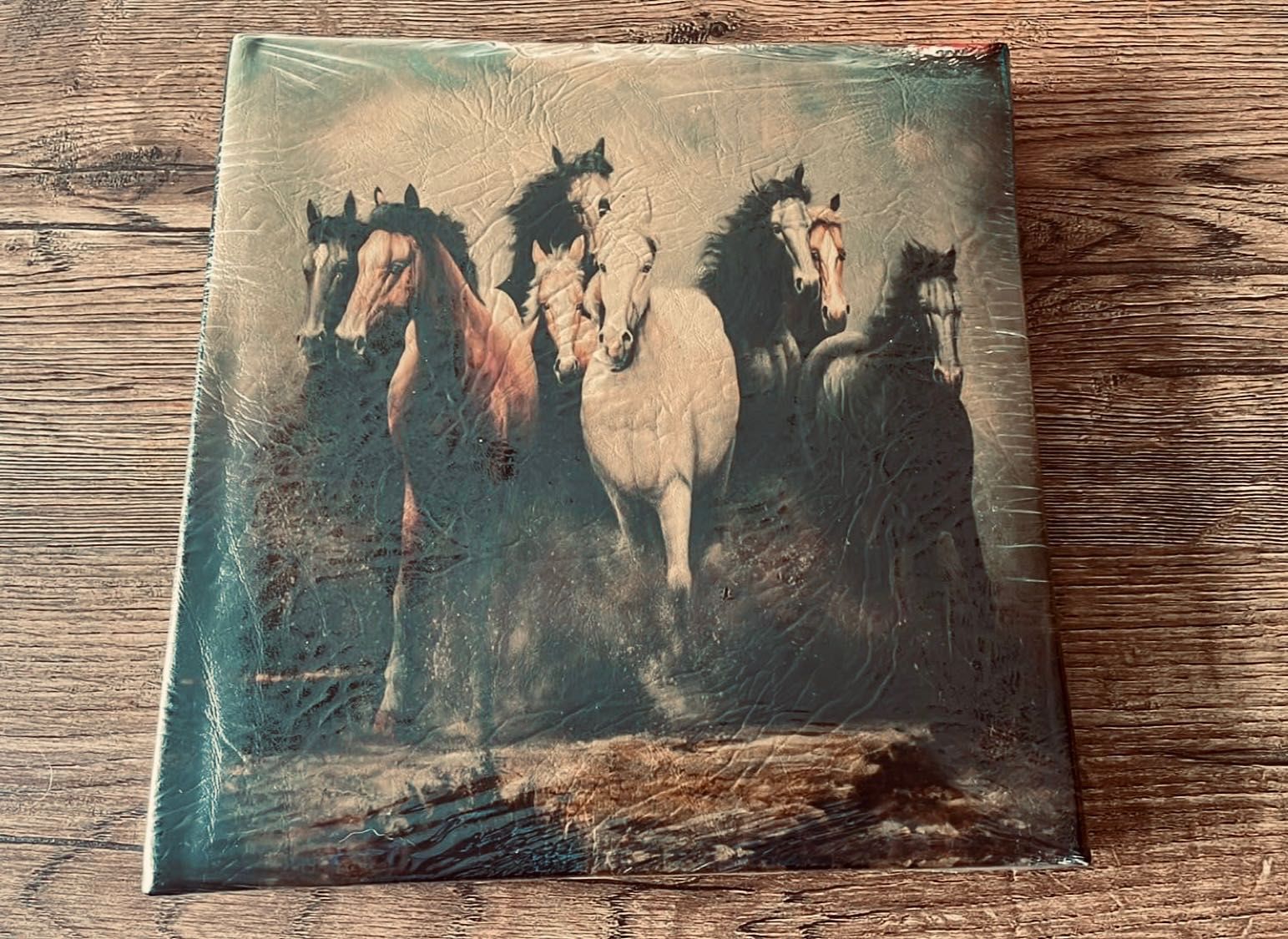 Nowy album na zdjęcia fotograficzne foto 200szt 10x15 konie horses