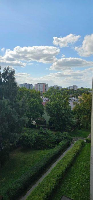 Mieszkanie na sprzedaż, Sosnowiec, przy Egzotarium