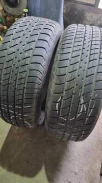 Пара шин Dunlop 225/60/15