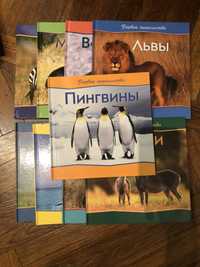 Книги о животных для детей, Первое знакомство - слон, дельфины, зебры.