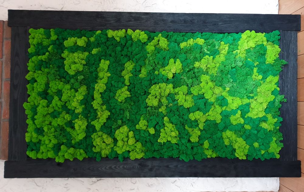 Ekskluzywny obraz z mchu , mech chrobotek reniferowy .Wymiar 140x70cm