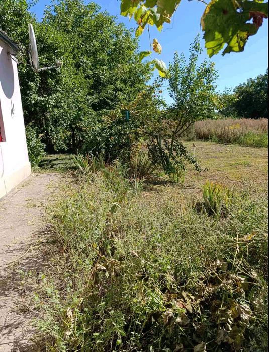 Продаж будинку єОселя  Яготин Разумовка 0,68 соток